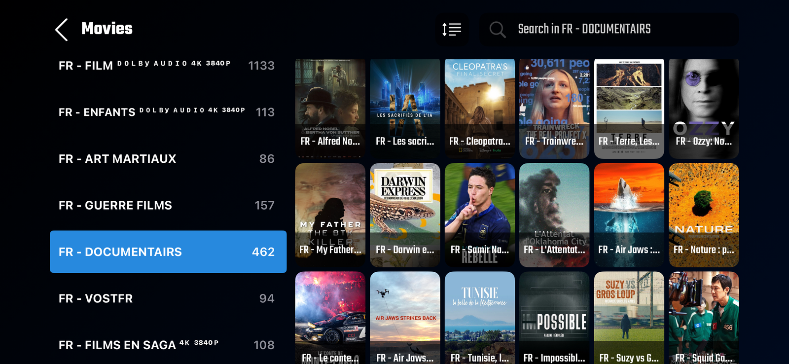 Configuration optimale IPTV sur Xiaomi TV Box